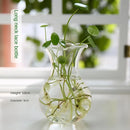 GobekUsa Modern Glass Vase Terrarium Aquarium Decoration