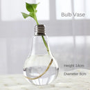 GobekUsa Modern Glass Vase Terrarium Aquarium Decoration