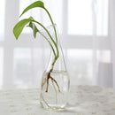 GobekUsa Modern Glass Vase Terrarium Aquarium Decoration