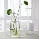 GobekUsa Modern Glass Vase Terrarium Aquarium Decoration