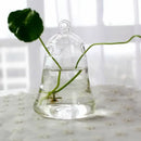 GobekUsa Modern Glass Vase Terrarium Aquarium Decoration