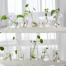 GobekUsa Modern Glass Vase Terrarium Aquarium Decoration