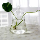 Modern tapered glass vase terrarium – living room decoration by Decorbites