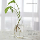 Modern tapered glass vase terrarium – living room decoration by Decorbites