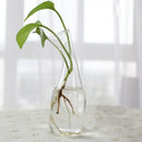Modern tapered glass vase terrarium – living room decoration by Decorbites