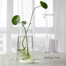 Modern tapered glass vase terrarium – living room decoration by Decorbites