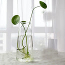 Modern tapered glass vase terrarium – living room decoration by Decorbites