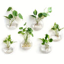 GobekUsa Modern Hanging Glass Vase for Home Decor