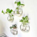 GobekUsa Modern Hanging Glass Vase for Home Decor