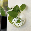 GobekUsa Modern Hanging Glass Vase for Home Decor