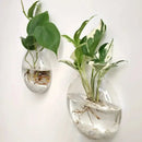 Modern hanging glass vase clear spherical wall planter living room by Decorbites