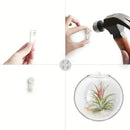 Modern hanging glass vase clear spherical wall planter living room by Decorbites