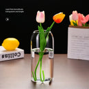 GobekUsa Modern Hydroponic Glass Flower Vase for Home & Wedding