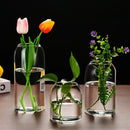 GobekUsa Modern Hydroponic Glass Flower Vase for Home & Wedding