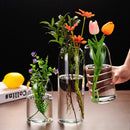 GobekUsa Modern Hydroponic Glass Flower Vase for Home & Wedding