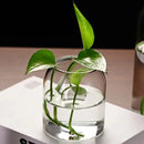 GobekUsa Modern Hydroponic Glass Flower Vase for Home & Wedding