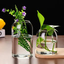 GobekUsa Modern Hydroponic Glass Flower Vase for Home & Wedding