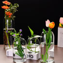 GobekUsa Modern Hydroponic Glass Flower Vase for Home & Wedding