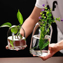 GobekUsa Modern Hydroponic Glass Flower Vase for Home & Wedding