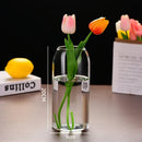 GobekUsa Modern Hydroponic Glass Flower Vase for Home & Wedding