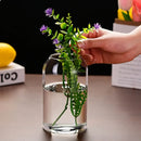 GobekUsa Modern Hydroponic Glass Flower Vase for Home & Wedding