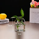 GobekUsa Modern Hydroponic Glass Flower Vase for Home & Wedding