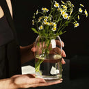 GobekUsa Modern Hydroponic Glass Flower Vase for Home & Wedding