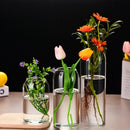 GobekUsa Modern Hydroponic Glass Flower Vase for Home & Wedding