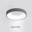 GobekUsa Modern LED Ceiling Light for Home - Indoor Lighting