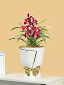 GobekUsa Modern Nordic Ceramic Tulip Vase for Home Decor