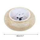 GobekUsa Modern Rattan Pendant Light - LED Ceiling Fan