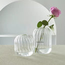 GobekUsa Modern Transparent Glass Vases Set for Home