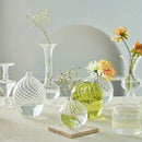 GobekUsa Modern Transparent Glass Vases Set for Home
