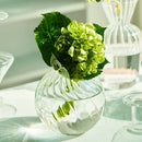 GobekUsa Modern Transparent Glass Vases Set for Home