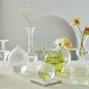 Modern ribbed transparent glass vases living room decorate root by Decorbites