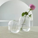 Modern ribbed transparent glass vases living room decorate root by Decorbites