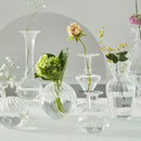 Modern ribbed transparent glass vases living room decorate root by Decorbites