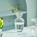 Modern ribbed transparent glass vases living room decorate root by Decorbites