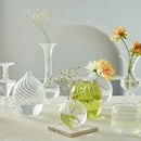 Modern ribbed transparent glass vases living room decorate root by Decorbites