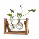 GobekUsa Modern Wooden Frame Glass Vase Terrarium