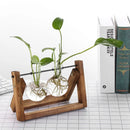 GobekUsa Modern Wooden Frame Glass Vase Terrarium
