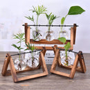 GobekUsa Modern Wooden Frame Glass Vase Terrarium