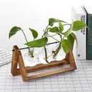 GobekUsa Modern Wooden Frame Glass Vase Terrarium