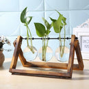 GobekUsa Modern Wooden Frame Glass Vase Terrarium