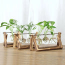 GobekUsa Modern Wooden Frame Glass Vase Terrarium