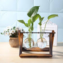 GobekUsa Modern Wooden Frame Glass Vase Terrarium
