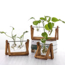GobekUsa Modern Wooden Frame Glass Vase Terrarium