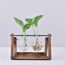 GobekUsa Modern Wooden Frame Glass Vase Terrarium