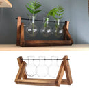 GobekUsa Modern Wooden Frame Glass Vase Terrarium