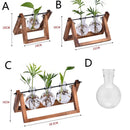 GobekUsa Modern Wooden Frame Glass Vase Terrarium